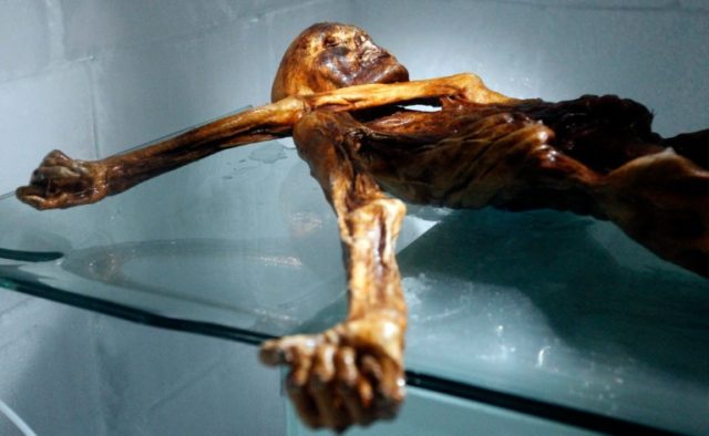 The mummy of an iceman named Otzi, discovered in 1991 in the Italian Schnal Valley glacier