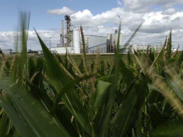 Joe Biden Moves to Boost Ethanol Production Even as Corn Prices Spike