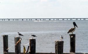 Bodies of missing men found in plane pulled from Louisiana's Lake Pontchartrain