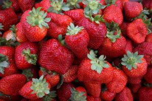 Study reveals genetic history of the cultivated strawberry