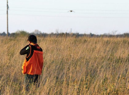 FILE - In this Oct. 7, 2012 file photo, 14-year-old Collin Cleveland, of Montrose, S.D., takes aim at a pheasant during the state's annual youth hunt on land near Tyndall, S.D. A South Dakota Game, Fish and Parks official says he's optimistic a mild winter and spring will help boost …