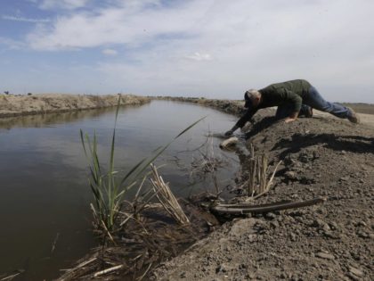 San Joaquin River (Rich Pedroncelli / Associated Press)