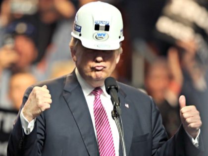 Trump Energy Coal AP