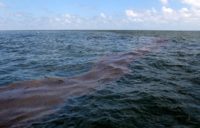 oil-slick-ap oil-slick-ap