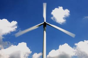 Wind turbines a risk to birds living as far as 100 miles away