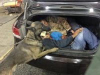 10192016 TCA Immigrants in Trunk