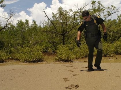 U.S. Border Patrol agent Glenn Torres checks footprints while on patrol through the southw