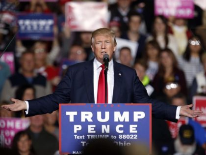 Donald Trump in Toledo (Jay LaPrete / AFP / Getty)