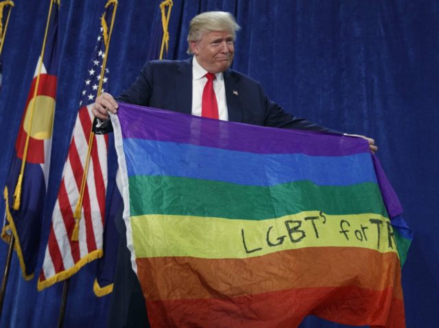 LGBTs for Trump (Evan Vucci / Associated Press)