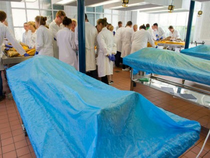 Medical students work on a body in the dissection hall of the medical department of the Un