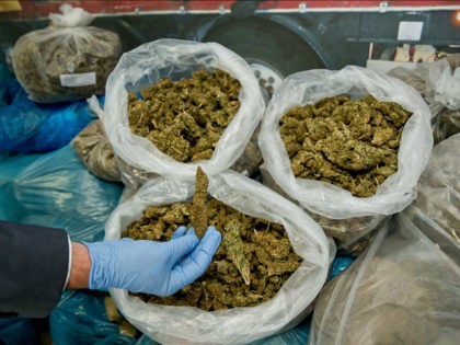 Marijuana in plastic bags confiscated by customs is on display at the customs office in Nu