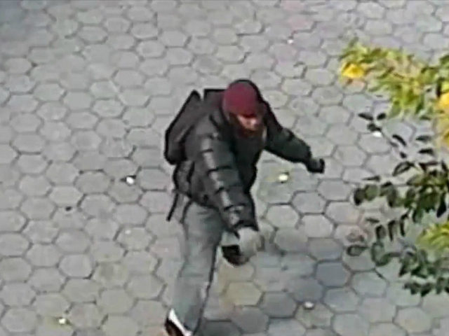 Police: Man Sucker-Punches 85-Year-Old in New York City