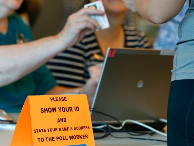 Poll: 75% Support Voter ID Law, Including 60% of Democrats