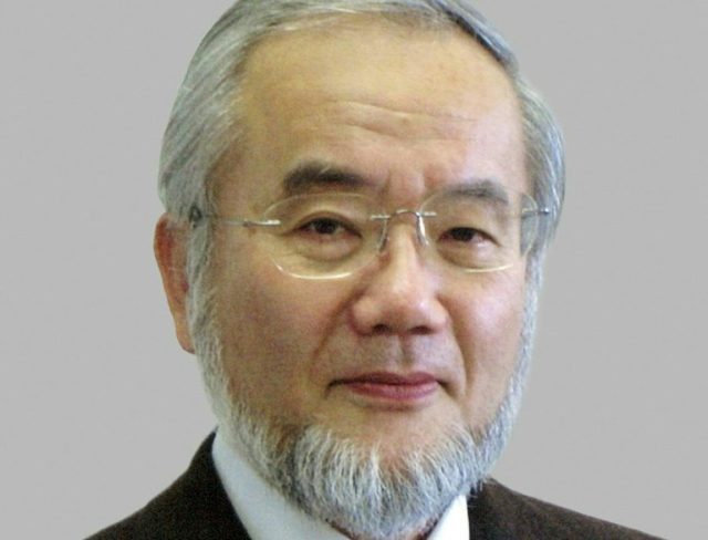 Japan's Ohsumi wins Nobel Prize for cell 'recycling' work - Breitbart