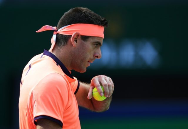 Argentina's Juan Martin del Potro lost in three sets to David Goffin of Belgium in the fir