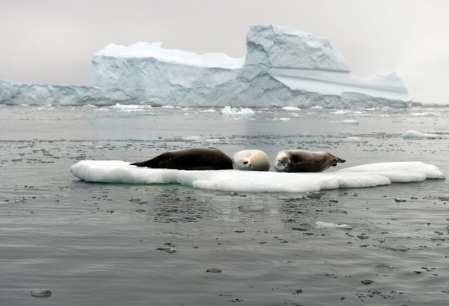Attempts to create marine sanctuaries in the Antarctic have been repeatedly blocked due to