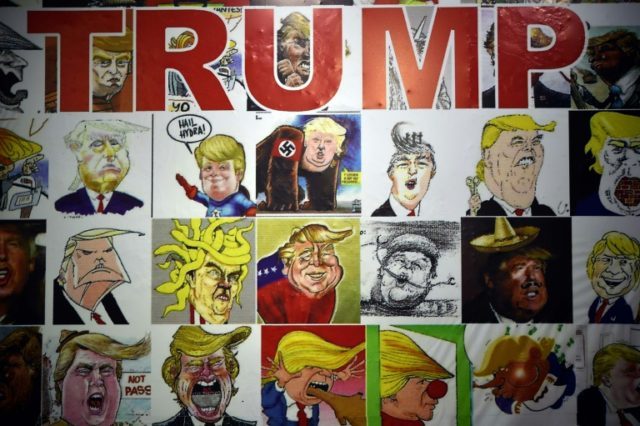 Donald Trump has been such a well of inspiration for cartoonists that a gallery is dedicat