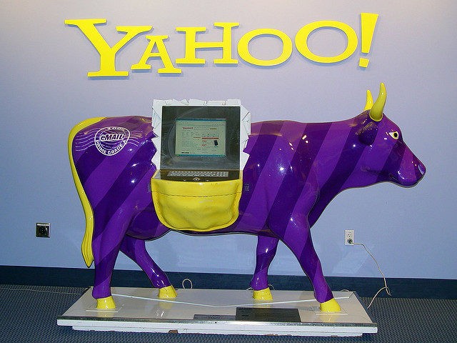 Yahoo! cow (Franco Folini / Flickr / CC / Cropped)