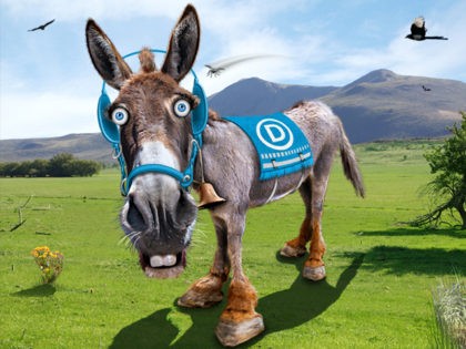 Democrats-Donkey-Flickr