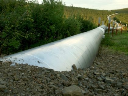 A buried section of the Trans-Alaska Pipeline emerges a few miles north of the Yukon River