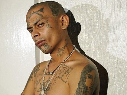 One of the leaders of the gang known as "mara salvatrucha" shows his tatoos after being arrested by police 24 July, 2003 in a poor neighborhood of the outskirts of San Salvador during an operation called "Firm hand". The operation was ordered by President Francico Flores trying to eradicate gang …