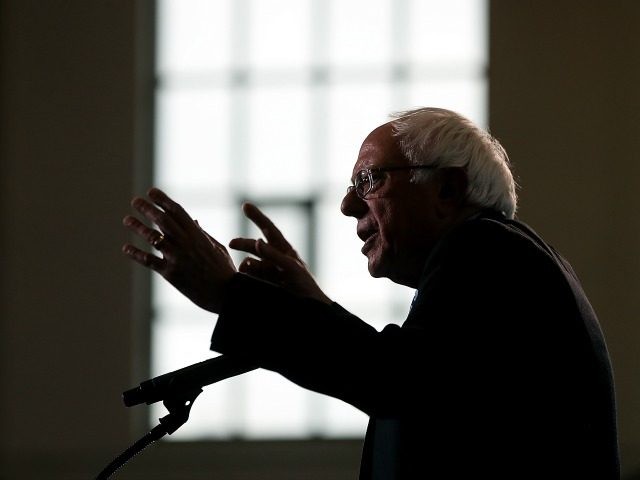 Sen. Bernie Sanders (I-VT) speaks during a campaign rally with democratic presidential nom