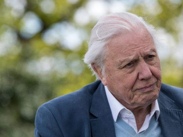 Sir David Attenborough Opens Woodberry Wetlands