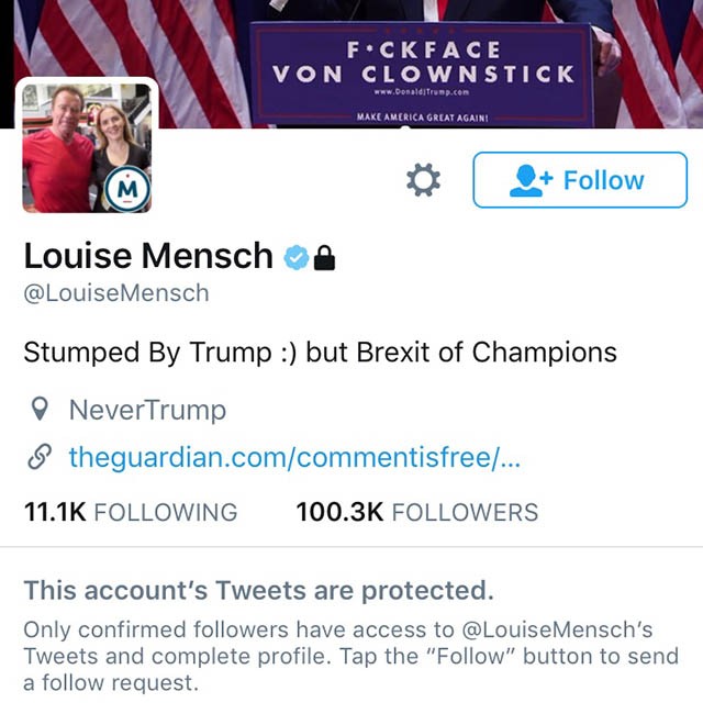Heat Street&#39;s Louise Mensch Locks Her Twitter Account: &#39;Stumped by Trump&#39; | Breitbart
