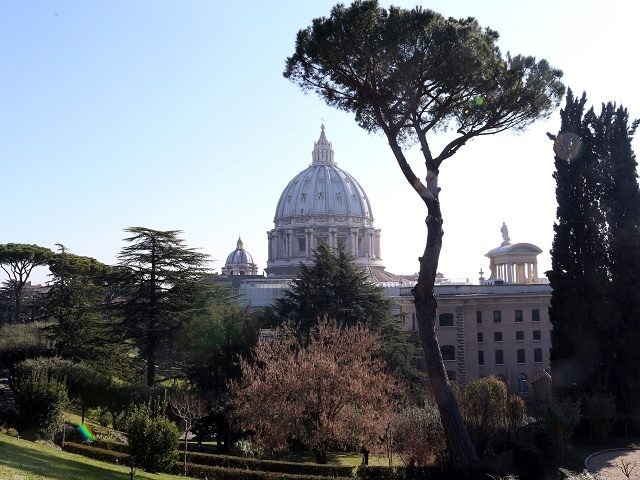 VATICAN CITY, VATICAN - FEBRUARY 19: A view of St. Peter's Basilica from the Vatican