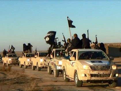 FILE - In this undated file photo released online in the summer of 2014 on a militant social media account, which has been verified and is consistent with other AP reporting, militants of the Islamic State group hold up their weapons and wave its flags on their vehicles in a …