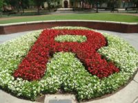 rutgers-flowers-wikimedia Tom Sulcer/Wikimedia Commons