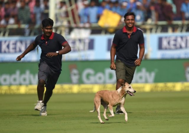 Ground staff chase a dog which ran onto the field on the first day of the second Test betw