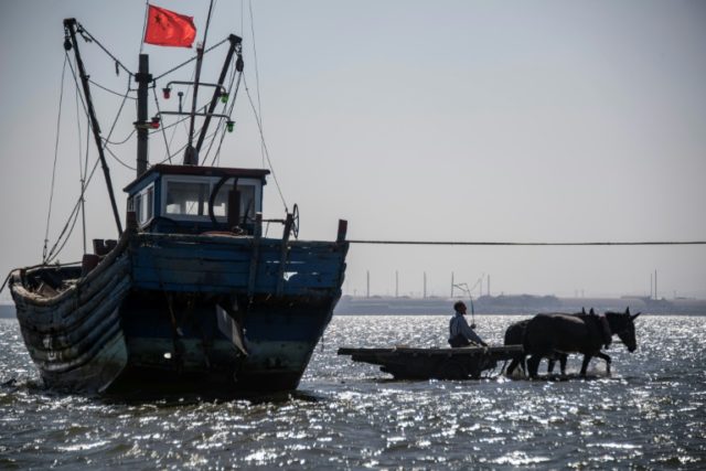 Qin Yusheng guides his mules between boats in the shallow waters of Xianrendao, in China's