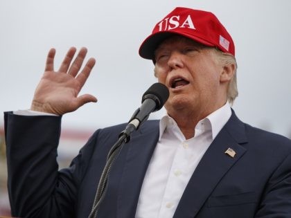 FILE - In this Saturday, Dec. 17, 2016 file photo, U.S. President-elect Donald Trump speak