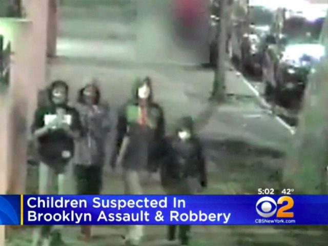 Children Robbery Suspects