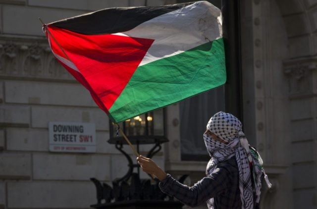 pro-Palestinian activists