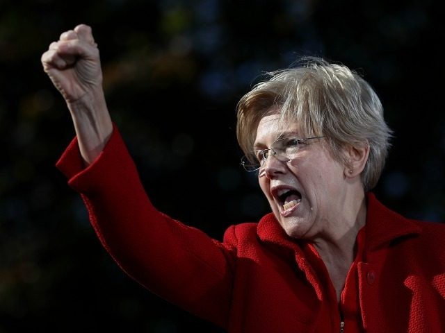S. Sen. Elizabeth Warren (D-MA) speaks during a campaign rally with democratic presidentia