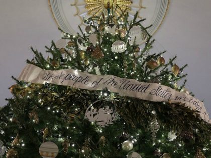 The official White House Christmas Tree sits in the Blue Room of the White House November