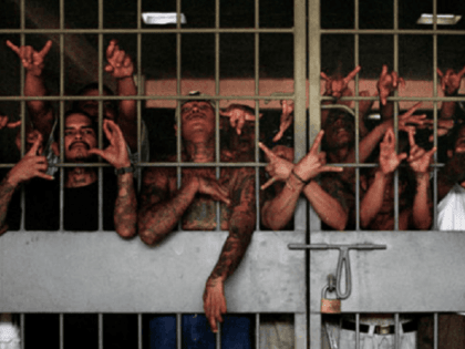 Jailed Gang Members