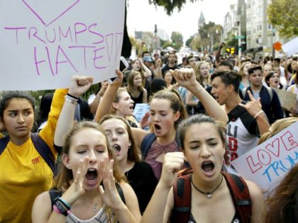 Women's March on Washington AP