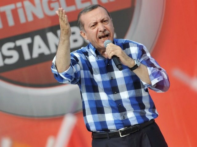 Turkish Prime Minister Recep Tayyip Erdogan makes a speach to supporters during a rally on