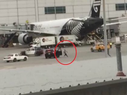 VIDEO: Man Leads Police on Wild Chase on Tarmac at San Francisco Airport