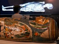 A young visitor looks at a 3D image of a CT scan of an Egyptian mummy, during a preview for a joint British-Australian exhibition in Sydney