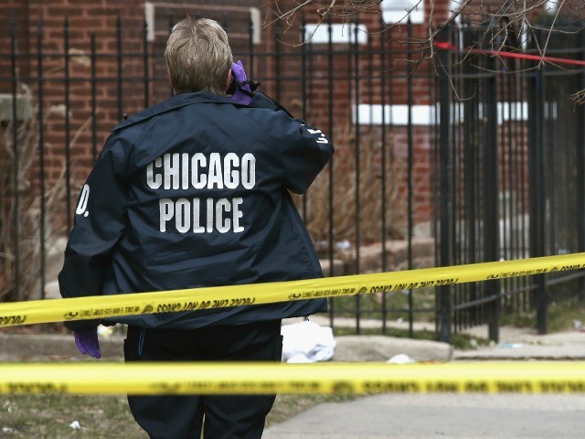 Report: Chicago Cops Took over 20 Minutes to Respond to Fatal Hit-and-Run - Vimarsana News