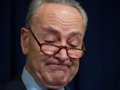 US Senator Charles Schumer, D-NY, speaks during a press conference to push for an overturn