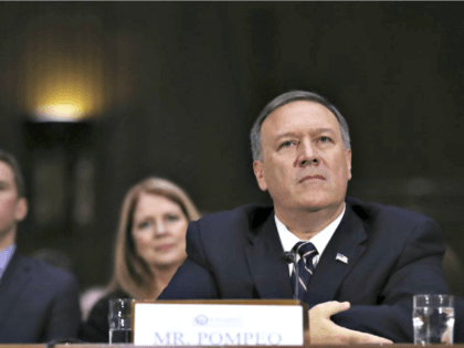Pompeo Grilled AP