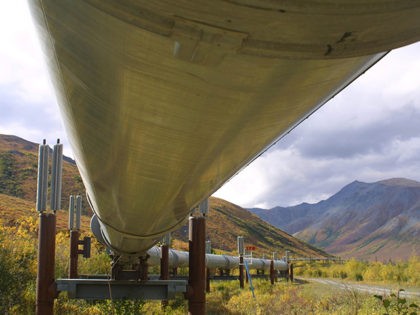 Trans-Alaska-Pipeline-12345--AP