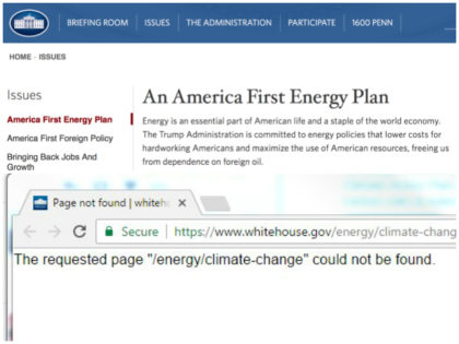 Whitehouse.gov-energy-website-screengrab