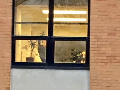 Mary Ellen Mazey/Twitter