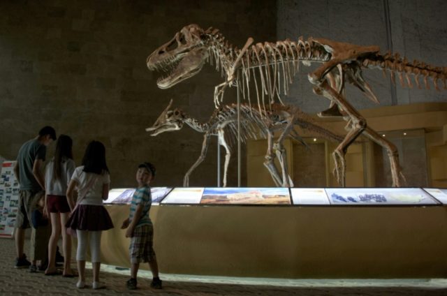 People visiting a museum in Ulan Bator displaying dinosaur fossils returned from overseas